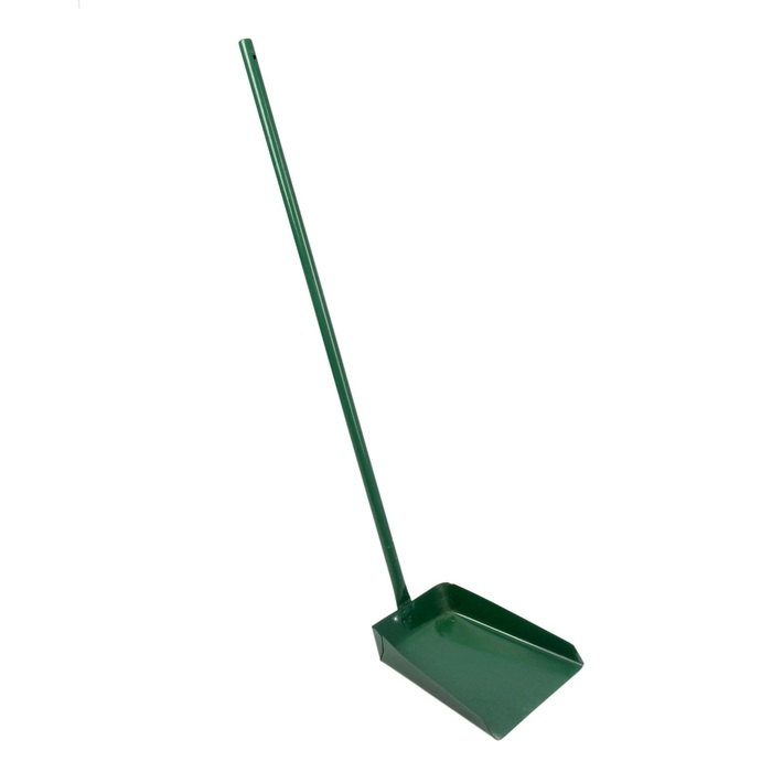 DETAIL_PICTURE